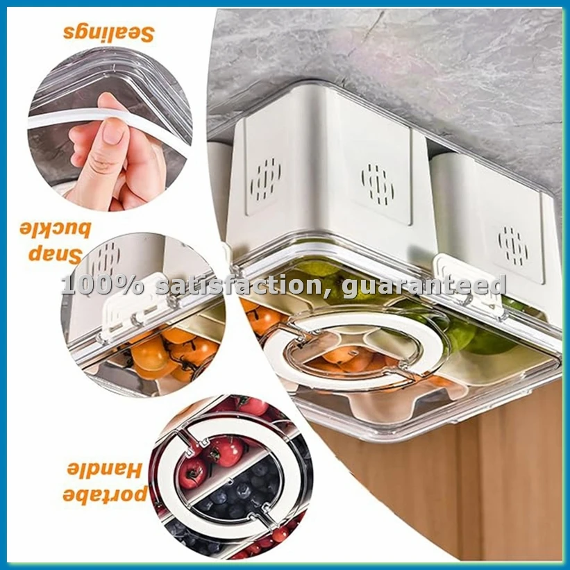 Food Storage Box Large - Nampan Buah untuk Piknik Besar, Penyimpanan