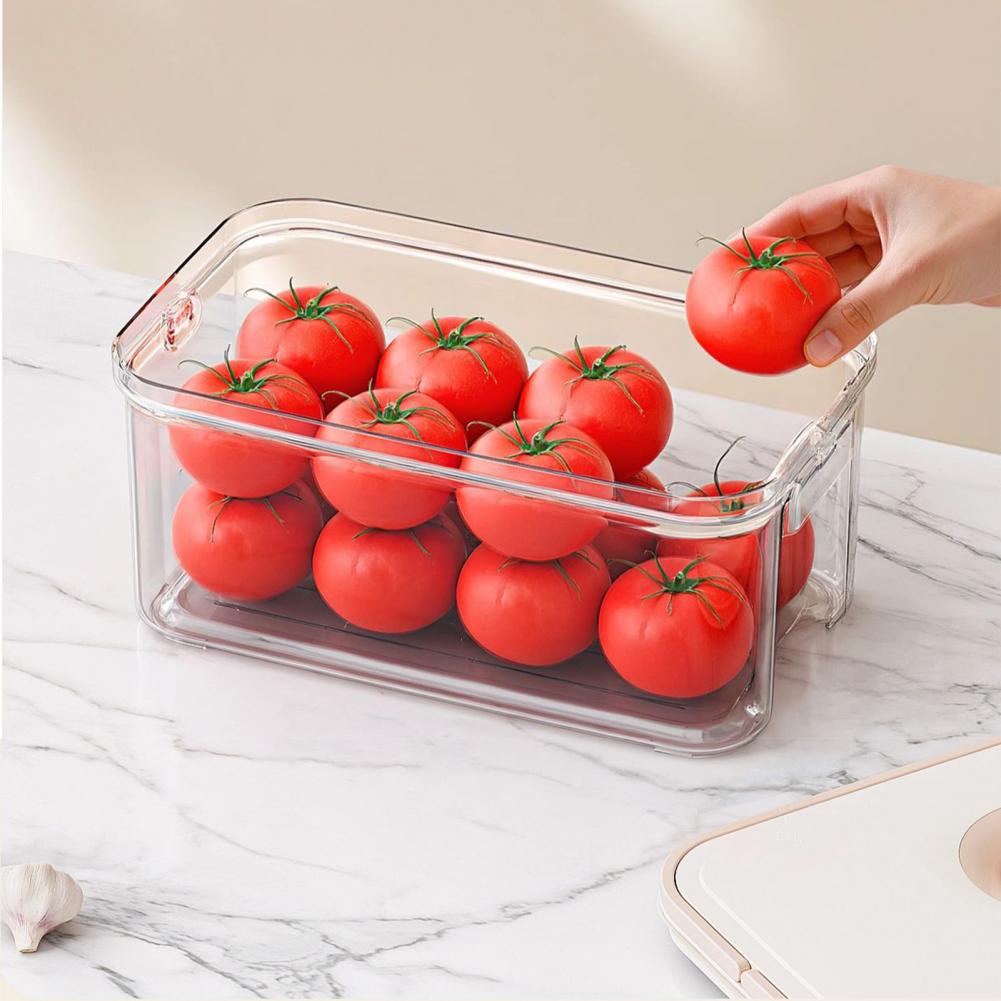 Kotak Penyimpanan dengan Lapis - Food Storage Without Plastic ulasan dan harga