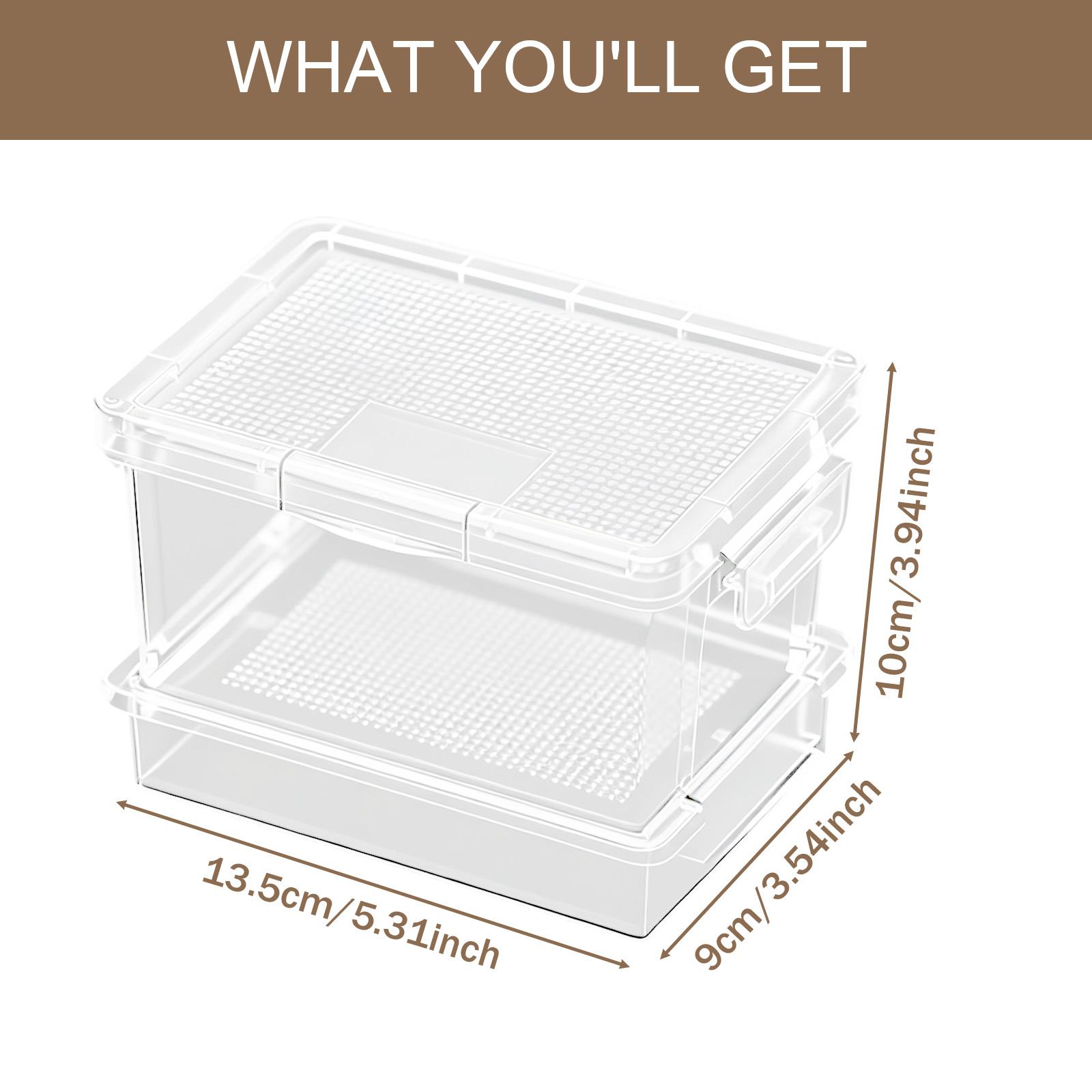 Kotak Pemberian Makan Kura-Kur - Food Storage Plastic Boxes ulasan dan harga