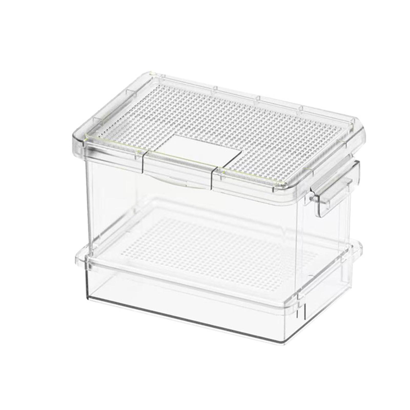 Kotak Pemberian Makan Kura-Kur - Food Storage Plastic Boxes ulasan dan harga