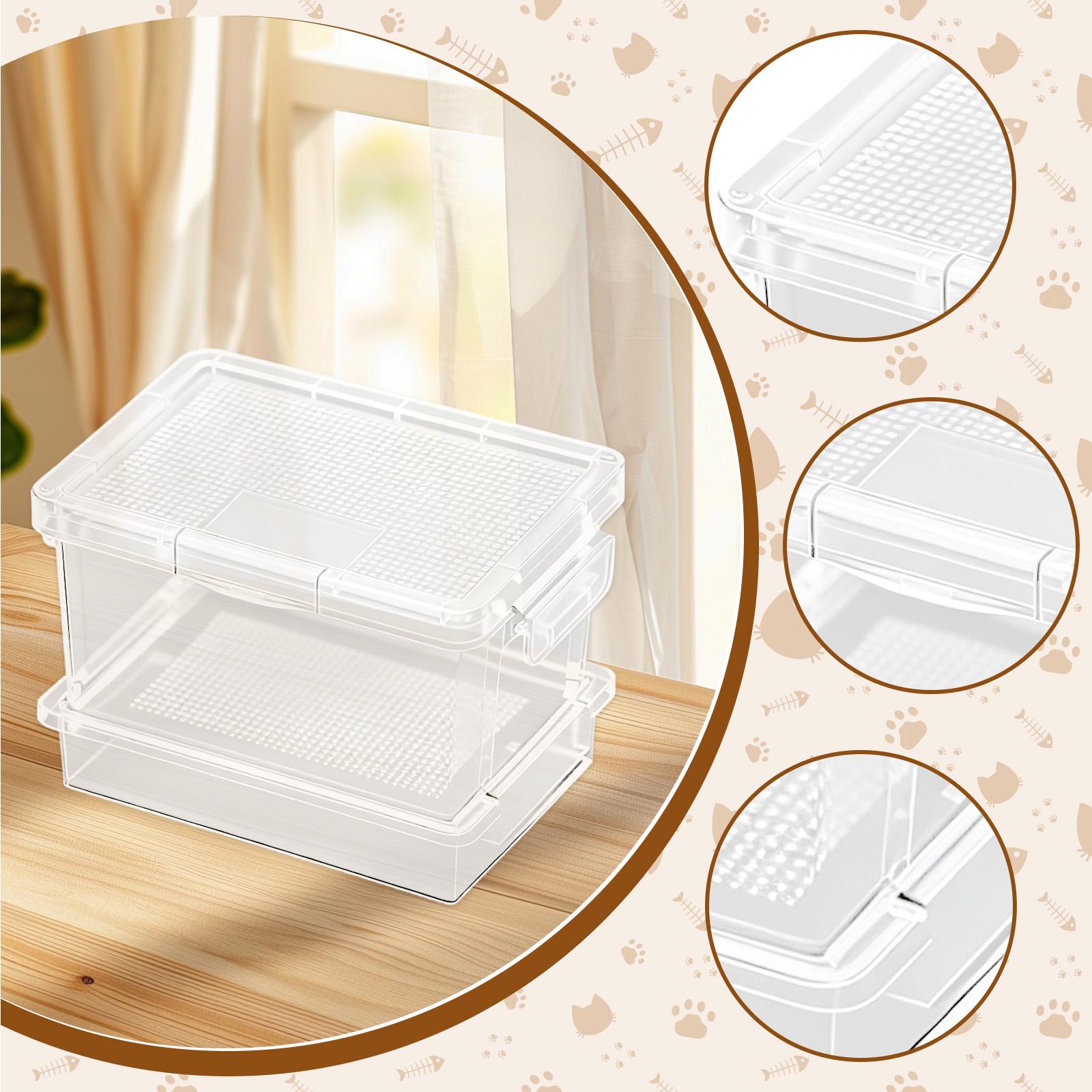 Kotak Pemberian Makan Kura-Kur - Food Storage Plastic Boxes ulasan dan harga