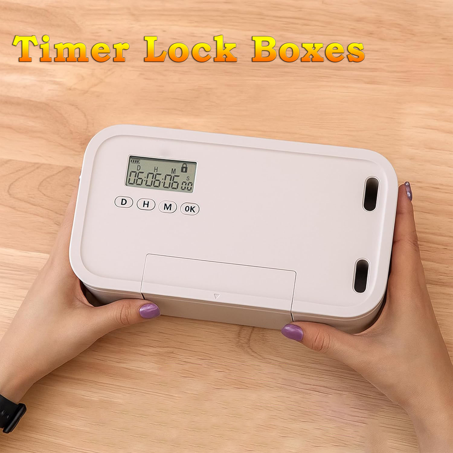 Kotak Penyimpanan Terkunci den - Food Storage Lock Box ulasan dan harga